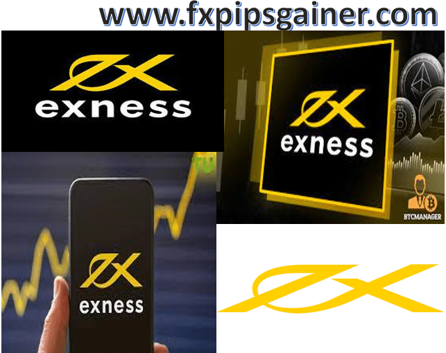 Maximizing Your Profit with Exness ECN Rebate